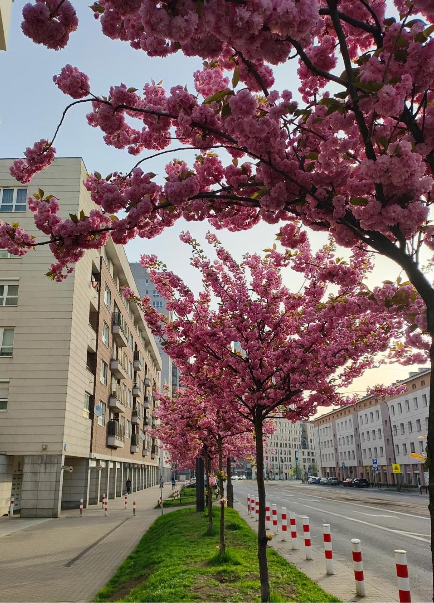 Totutotam Apartment Warsaw Exterior photo